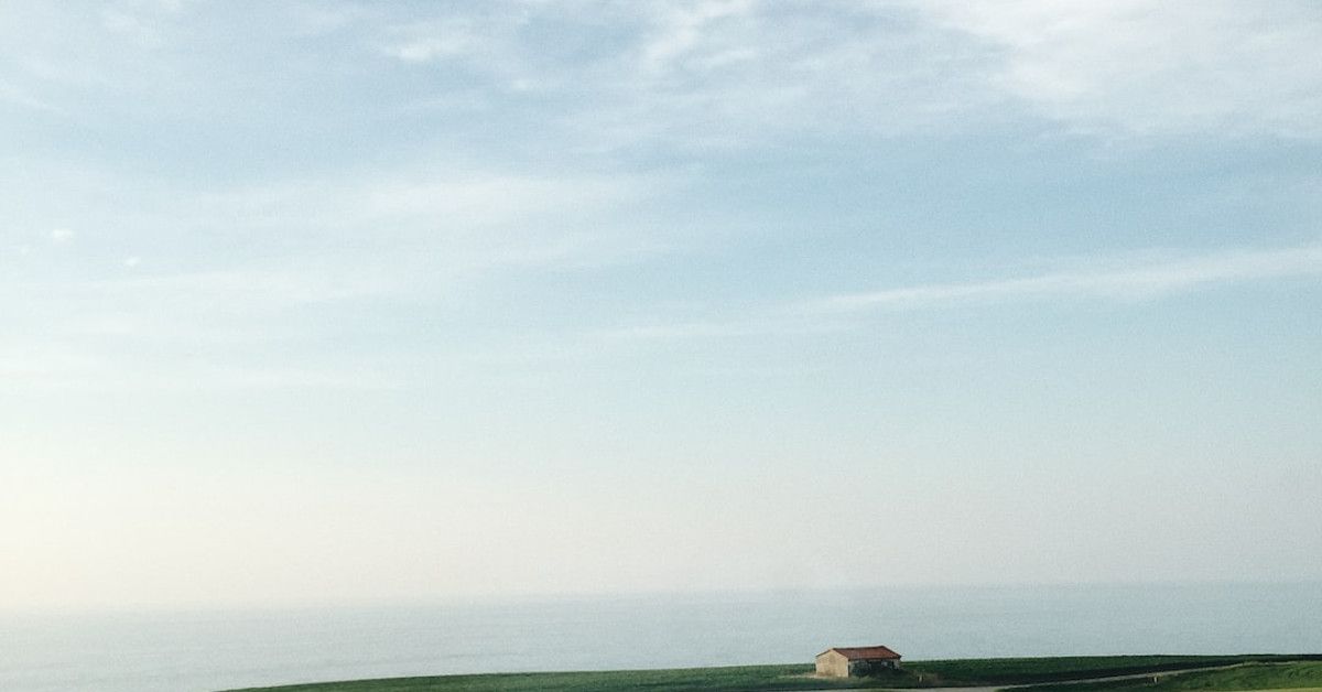 Niece birthday quotes - Get inspiration for 2023 celebrations.