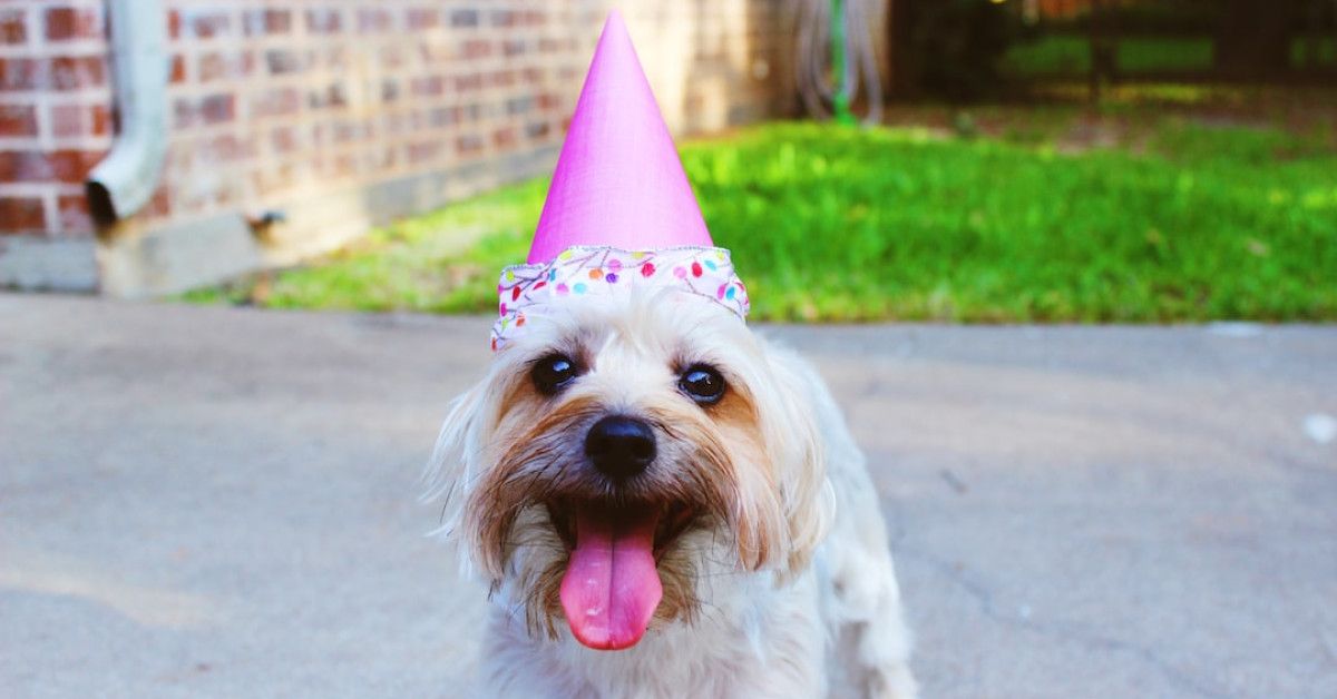 Unique and heartfelt 70th birthday cards for a milestone celebration