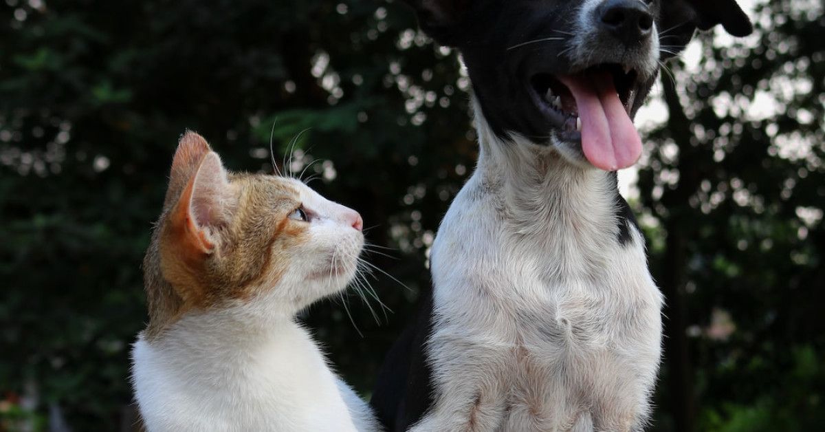 Funny fishing birthday cards guaranteed to make their day.