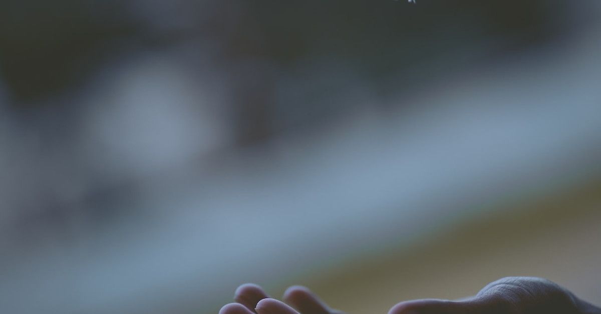 Thoughtful memory album to relive your 43rd birthday magic.