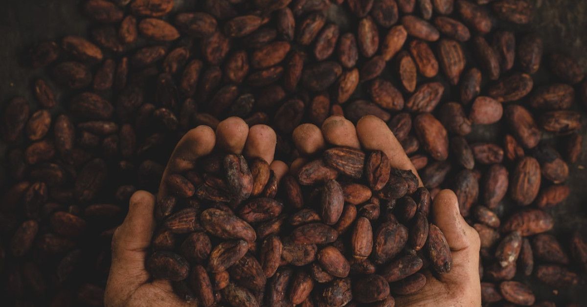 Collection of chocolate cake recipes perfect for birthdays