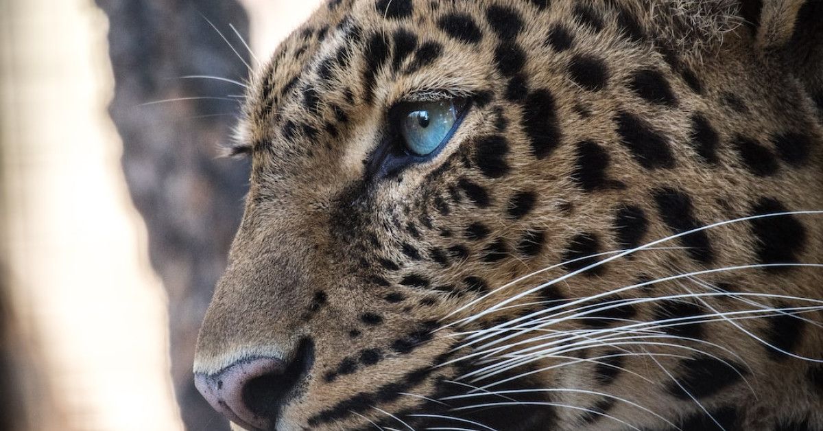 Top 10 big birthday cards for extra special celebrations.